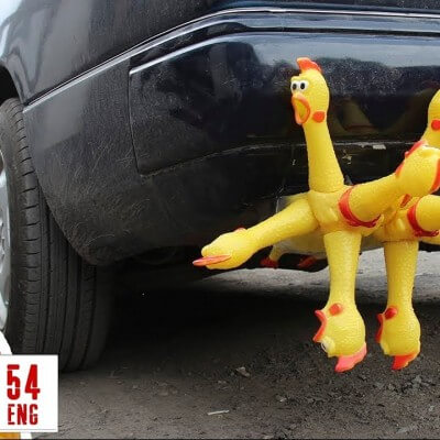 TOP 10 des trucs fun à faire avec Mr Chicken (la 6ème va vous étonner) !